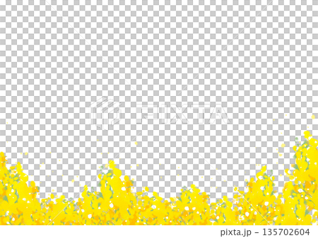 水彩風格油菜花框 水彩風格油菜花框 135702604