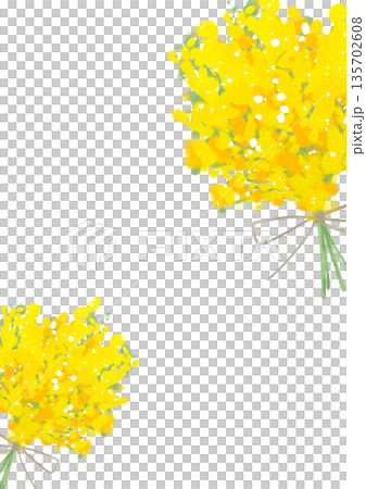 水彩風格油菜花框 水彩風格油菜花框 135702608