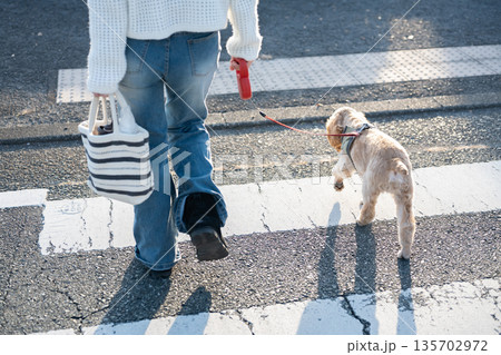 飼い主と散歩する犬 135702972
