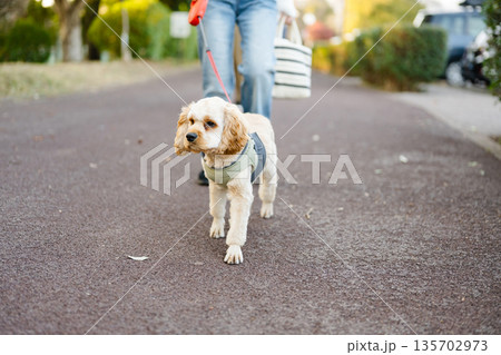 飼い主と散歩する犬 飼い主と散歩する犬 135702973