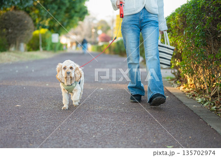 飼い主と散歩する犬 135702974