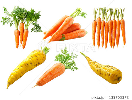 Set of Imperator carrot and Parsnip root with green leaves isolated on a white background Set of Imperator carrot and Parsnip root with green leaves isolated on a white background 135703378
