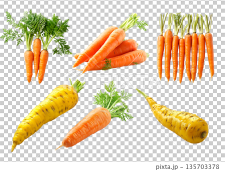 Set of Imperator carrot and Parsnip root with green leaves isolated on a white background Set of Imperator carrot and Parsnip root with green leaves isolated on a white background 135703378