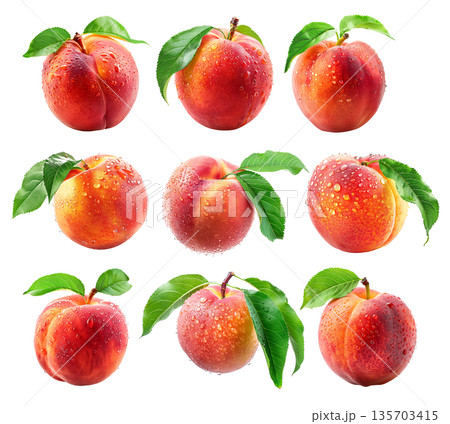 Set of peach or nectarine covered in dew drops, surrounded by green leaves isolated on white background. Set of peach or nectarine covered in dew drops, surrounded by green leaves isolated on white background. 135703415