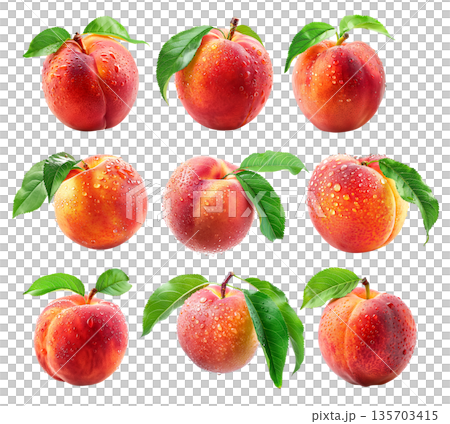 Set of peach or nectarine covered in dew drops, surrounded by green leaves isolated on white background. Set of peach or nectarine covered in dew drops, surrounded by green leaves isolated on white background. 135703415