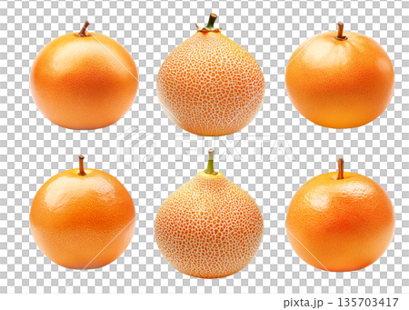Set of santol or cantaloupe melon isolated on white background. Concept of tropical fruits and healthy eating Set of santol or cantaloupe melon isolated on white background. Concept of tropical fruits and healthy eating 135703417