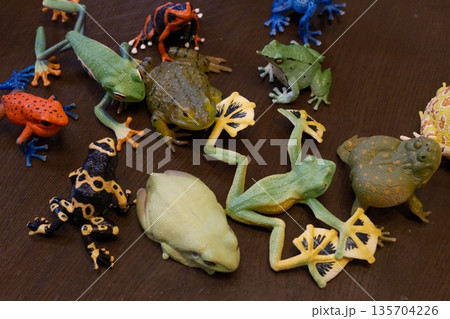 様々種類のカエルのオブジェ 様々種類のカエルのオブジェ 135704226