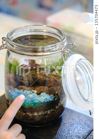 魚と水草と小石を入れて飾る水槽のようなボトル 魚と水草と小石を入れて飾る水槽のようなボトル 135704473