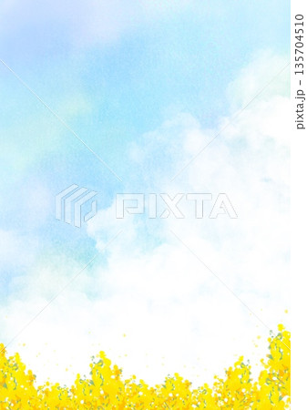 水彩風の空と一面の菜の花畑の春背景｜空,菜の花,春,花畑 135704510