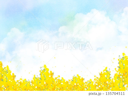 水彩風の空と一面の菜の花畑の春背景｜空,菜の花,春,花畑 135704511