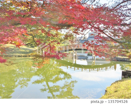 秋の名勝大乗院庭園 135704526