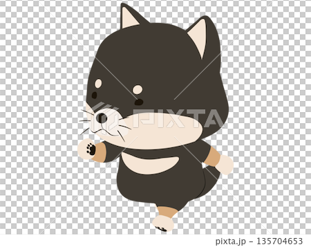 Walking black Shiba Inu Walking black Shiba Inu 135704653