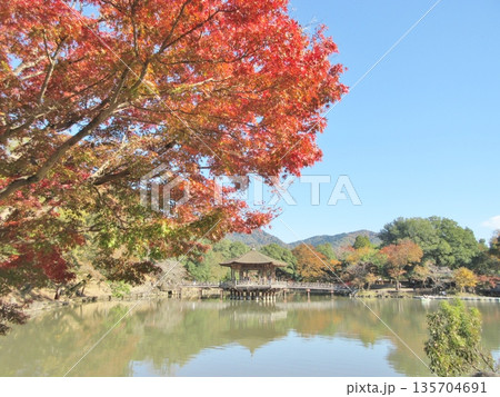 秋の紅葉と浮見堂 秋の紅葉と浮見堂 135704691