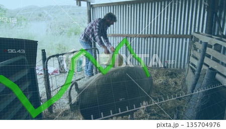 Pouring feed worker in plaid shirt feeding large pig in metal-panel pigsty, with yellow bucket Pouring feed worker in plaid shirt feeding large pig in metal-panel pigsty, with yellow bucket 135704976