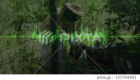 Lifting wooden hive frame, beekeeper in protective gear inspecting bees in garden, with waveform Lifting wooden hive frame, beekeeper in protective gear inspecting bees in garden, with waveform 135704981