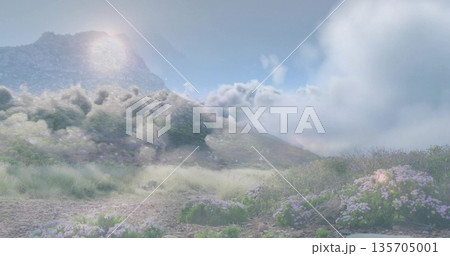 Framing cluster of purple bushes on meadow below mountain peak with drifting clouds, copy space Framing cluster of purple bushes on meadow below mountain peak with drifting clouds, copy space 135705001
