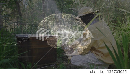 Crouching beekeeper wearing mesh-veil suit inspecting wooden hive in forest, showing brain overlay 135705035