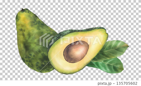 Watercolor avocado. Whole and cut avocado fruit half with seed and leaves. Hand drawn illustration isolated from background for food, healthy lifestyle concepts, packaging design, farm product label. Watercolor avocado. Whole and cut avocado fruit half with seed and leaves. Hand drawn illustration isolated from background for food, healthy lifestyle concepts, packaging design, farm product label. 135705602