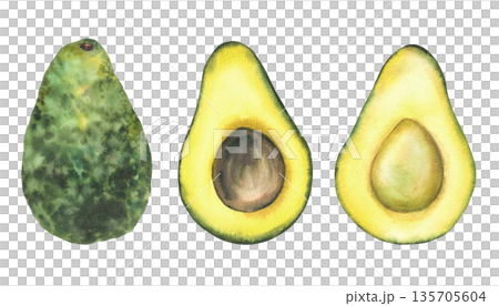 Watercolor avocado set. Whole and cut avocado fruit half with and without seed. Hand drawn illustration isolated from background for food design, healthy cosmetic label, packaging, menus, farm product 135705604