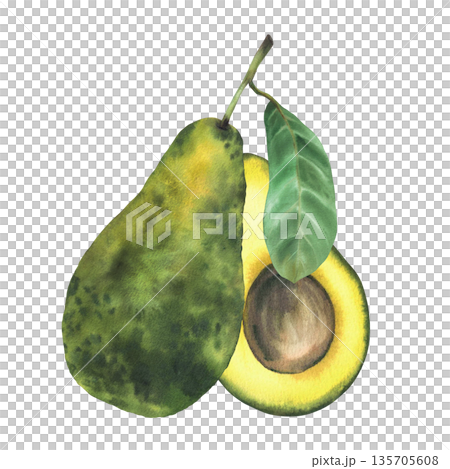 Watercolor whole avocado fruit. One ripe avocado with textured green skin, peel and stem. Hand drawn illustration isolated from background for vegetable food design, healthy vegan product packaging. 135705608