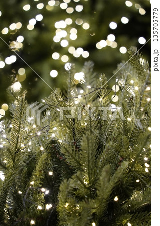 Twinkling Christmas Lights on Evergreen Branches 135705779