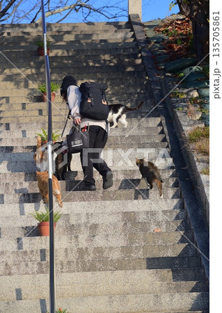 地域猫 地域猫 135705861