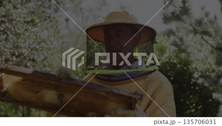 Inspecting senior beekeeper examining honeycomb frame in apiary with yellow suit, veil and gloves 135706031