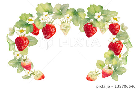 水彩で描いたいちごの装飾フレーム 135706646