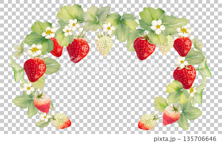 水彩で描いたいちごの装飾フレーム 135706646