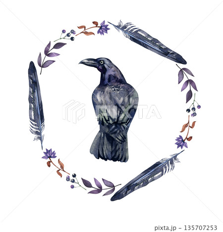 Watercolor mystical illustration featuring a black raven sitting in the center of a circular wreath made of dark feathers, purple flowers, and forest berries. Gothic and magical nature art. Watercolor mystical illustration featuring a black raven sitting in the center of a circular wreath made of dark feathers, purple flowers, and forest berries. Gothic and magical nature art. 135707253