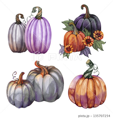 Watercolor set of autumn pumpkins in orange, gray, and lilac tones, hand-painted harvest illustration, cozy fall composition, botanical seasonal decor for Thanksgiving and rustic design 135707254