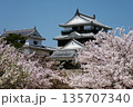 松山城と桜 135707340