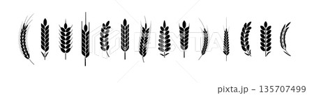 Wheat Ears Icons and Logo Set. For Identity Style. Organic wheat, bread agriculture. Vector Wheat Ears Icons and Logo Set. For Identity Style. Organic wheat, bread agriculture. Vector 135707499