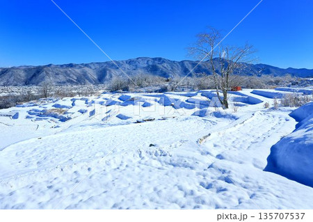 冬の姨捨の棚田 135707537