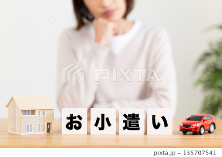 お小遣いのブロックと悩むミドル女性 お小遣いのブロックと悩むミドル女性 135707541