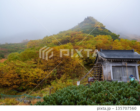 紅葉に染まる中央アルプスロープウェイ 135707560