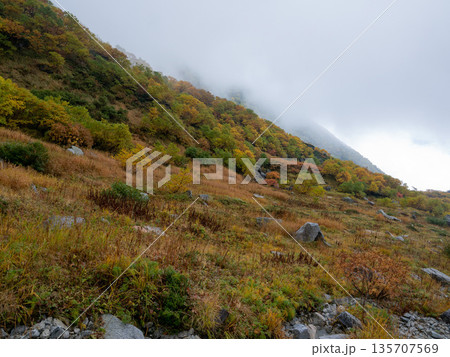 紅葉に染まる中央アルプスロープウェイ 135707569