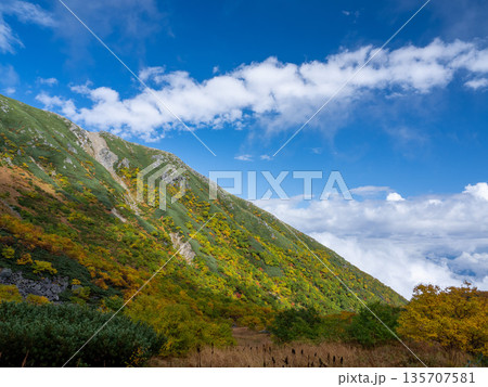 紅葉に染まる中央アルプスロープウェイ 紅葉に染まる中央アルプスロープウェイ 135707581