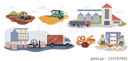 Bread production process. Flour making industry scenes, wheat sowing and harvesting, agricultural machinery, manufacture, storage, milling and transportation, garish vector cartoon set 135707691