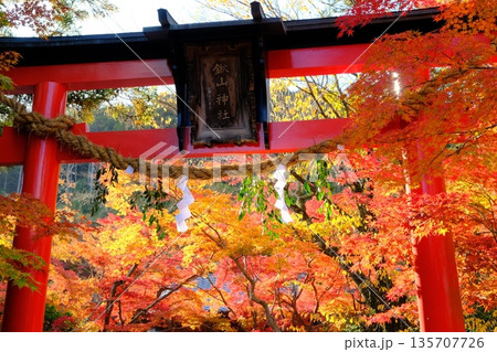京都の亀山氏の鍬山神社 京都の亀山氏の鍬山神社 135707726