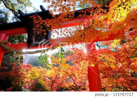 京都の亀山氏の鍬山神社 135707727
