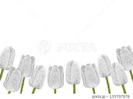 【白色のチューリップフレーム】手刺繍イラスト素材 135707876