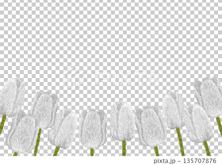 【白色のチューリップフレーム】手刺繍イラスト素材 135707876