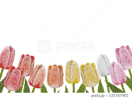 【カラフルチューリップフレーム】手刺繍イラスト素材 135707901