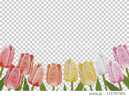 【カラフルチューリップフレーム】手刺繍イラスト素材 135707901