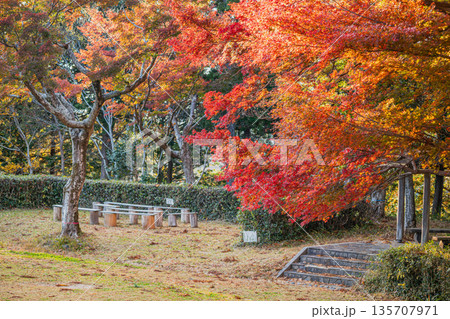 浜松市の二俣城跡の風景(静岡県) 浜松市の二俣城跡の風景(静岡県) 135707971