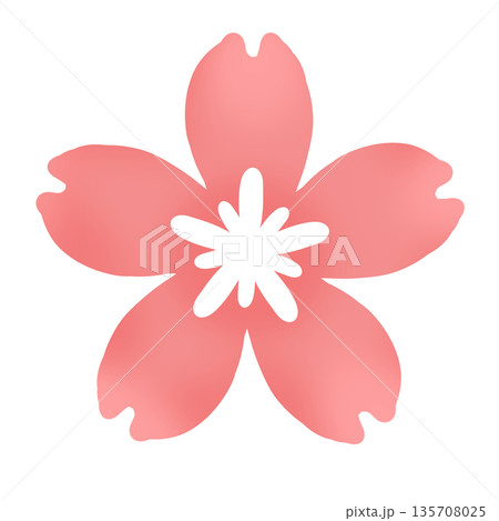 濃いピンク色の桜の花のシンプルアイコン 濃いピンク色の桜の花のシンプルアイコン 135708025