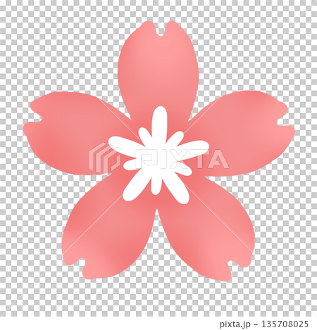 濃いピンク色の桜の花のシンプルアイコン 濃いピンク色の桜の花のシンプルアイコン 135708025