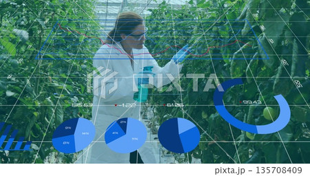 Holding spray bottle, researcher in lab coat examining tomato clusters in greenhouse, data overlays Holding spray bottle, researcher in lab coat examining tomato clusters in greenhouse, data overlays 135708409