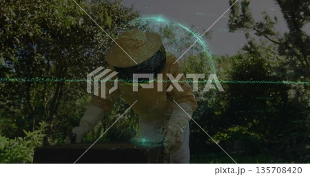 Inspecting hive box top senior beekeeper wearing veiled hat heavy gloves in backyard garden 135708420